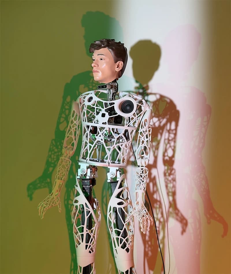 Captcha, the humanoid social robot built before Callable